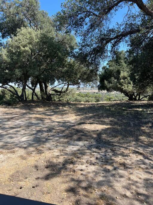 Country Cowboy Hot Tub Hideaway On 20 Acres * Borrego Springs