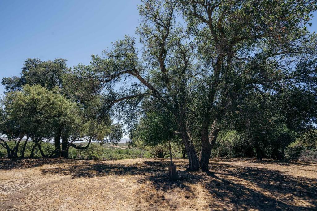 Country Cowboy Hot Tub Hideaway On 20 Acres * Borrego Springs